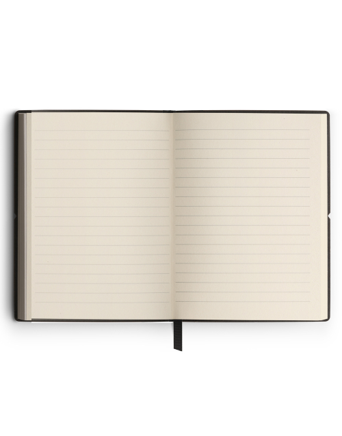 lined-pages.jpg